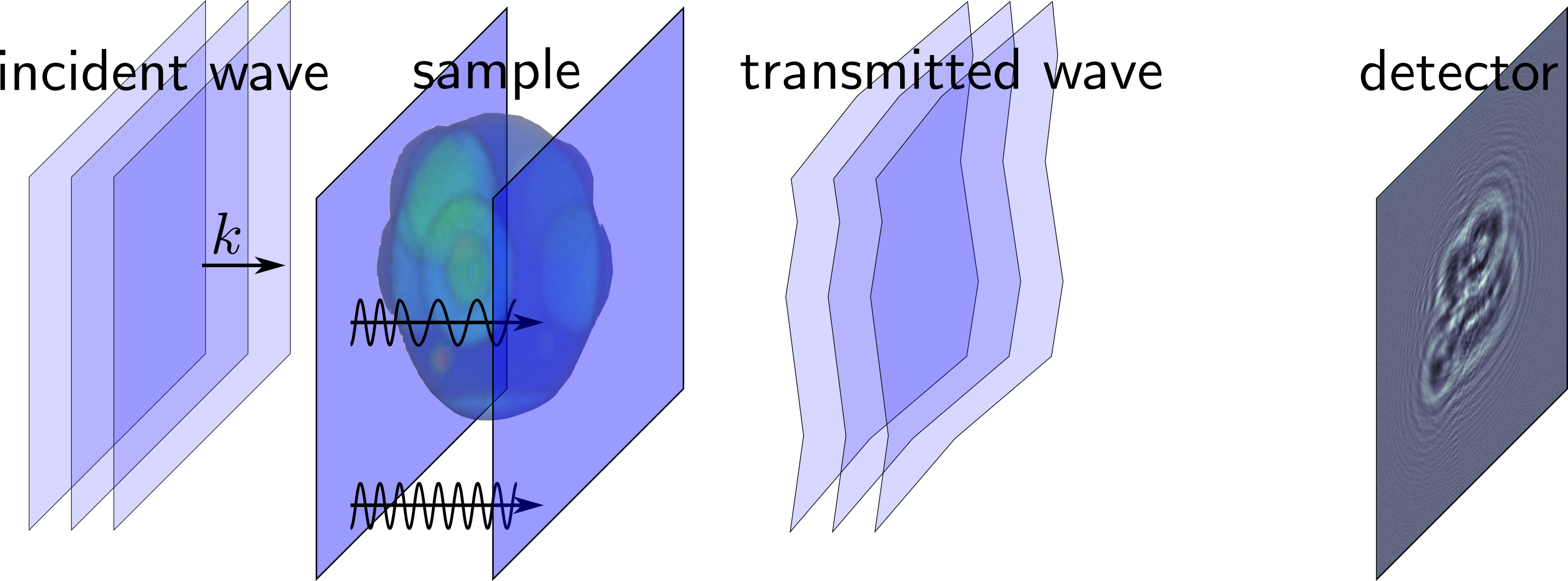 fig1