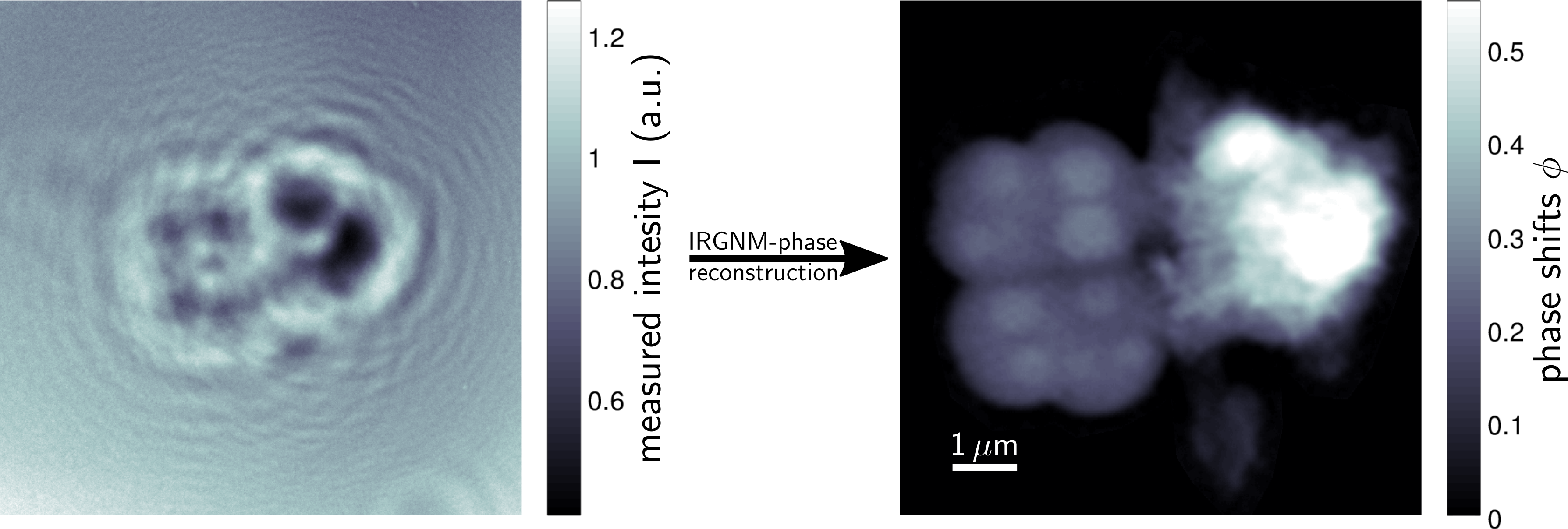 fig2